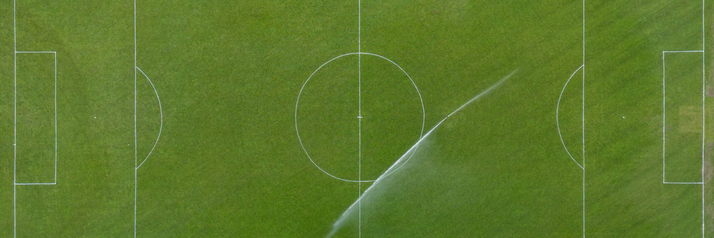 Wyss Rasen und Garten