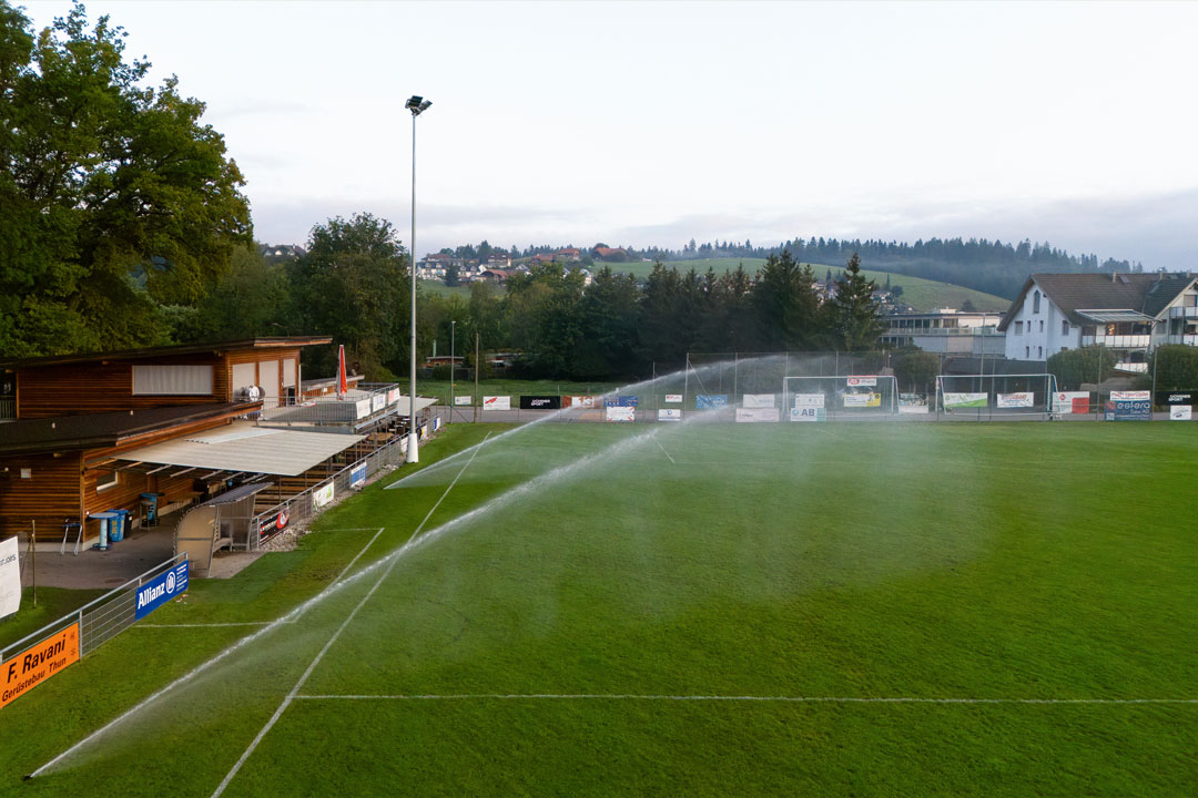 Rasenpflege, Rasen, Naturrasen, Vereine, Fussball